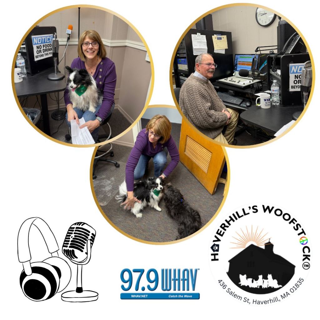 Photos of Cyndie Morgan & Nigel with Win Damon of WHAV RADIO When she had her interview to talk about Haverhill's Woofstock. Ollie was also in the studio that day.